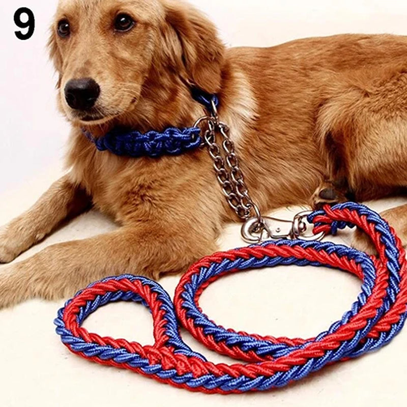 Durable Braided Dog Leash