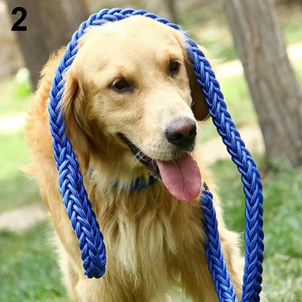 Durable Braided Dog Leash