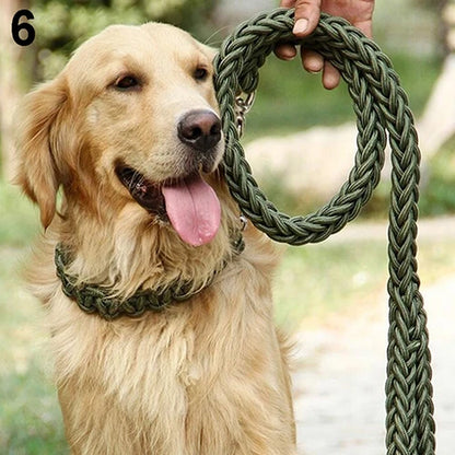 Durable Braided Dog Leash