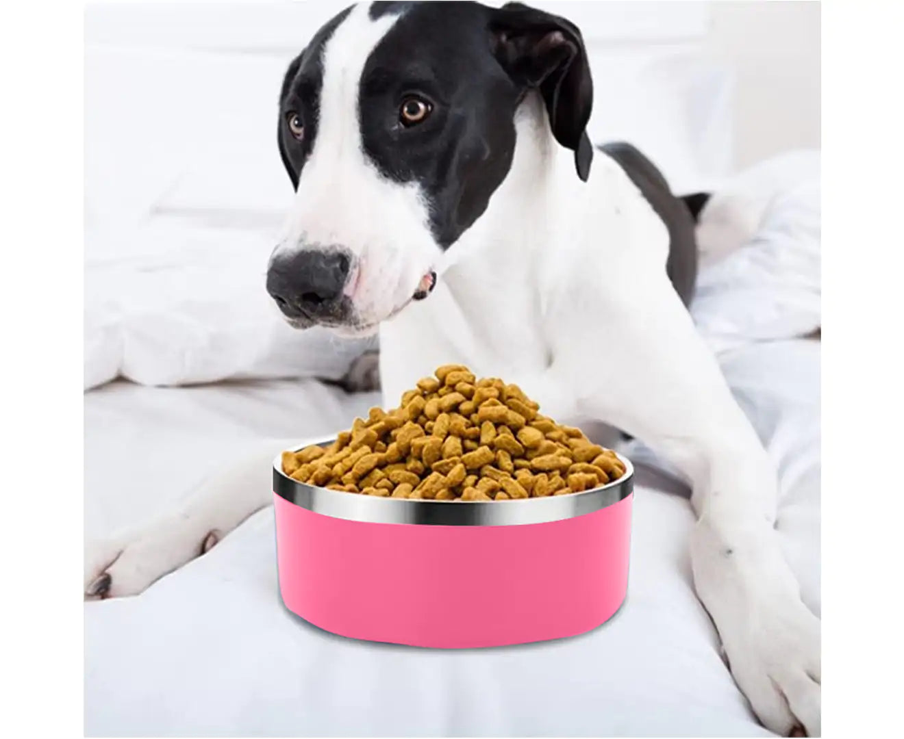 Stainless Steel Dog Bowl - Bubblegum