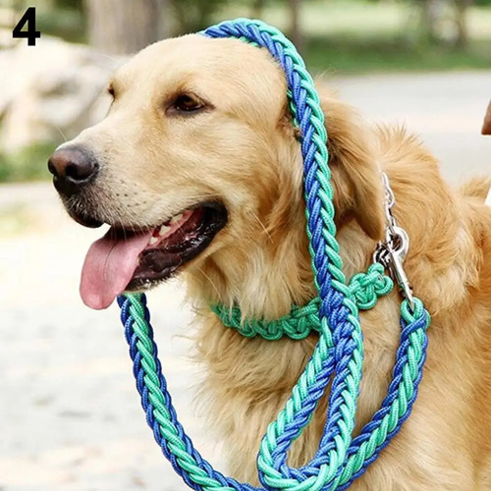 Durable Braided Dog Leash