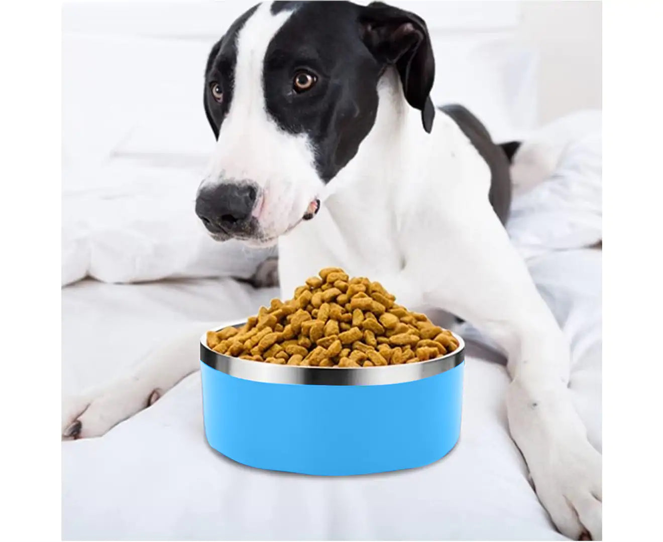 Stainless Steel Dog Bowl - Ice