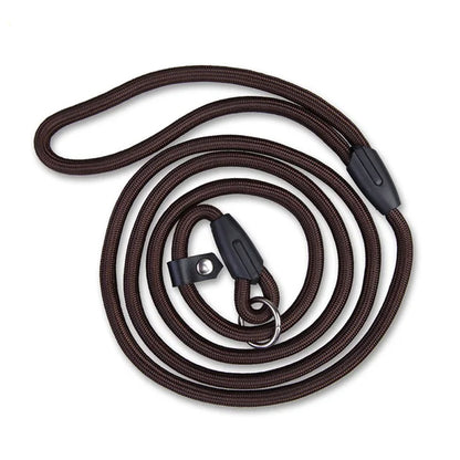 Adjustable Training Slip Lead for Dogs