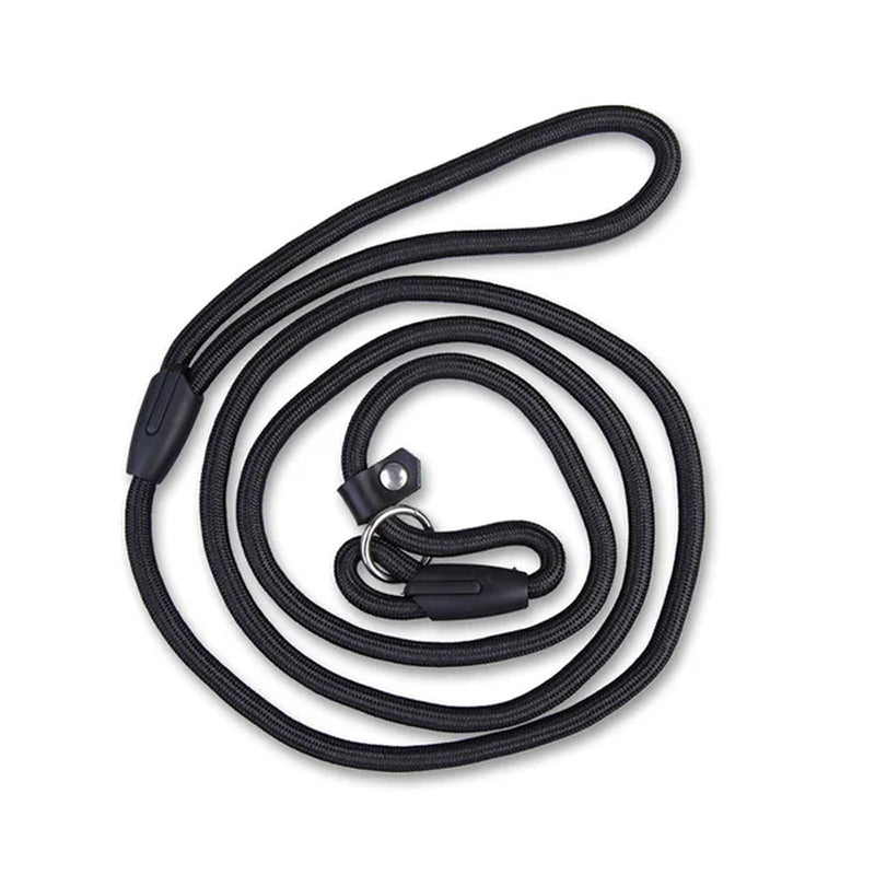 Adjustable Training Slip Lead for Dogs